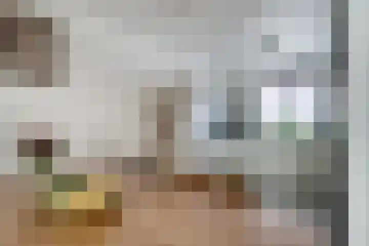 's-Gravenwaardsedijk 9 Tolkamer thumbnail 11