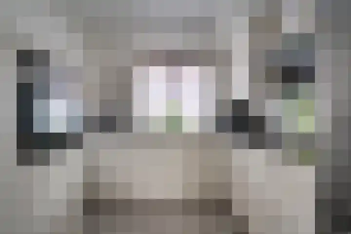 's-Gravenwaardsedijk 9 Tolkamer thumbnail 12
