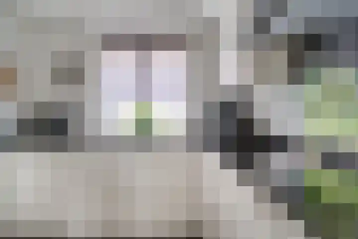 's-Gravenwaardsedijk 9 Tolkamer thumbnail 13