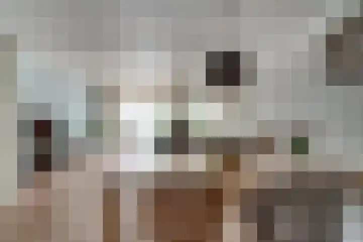 's-Gravenwaardsedijk 9 Tolkamer thumbnail 16