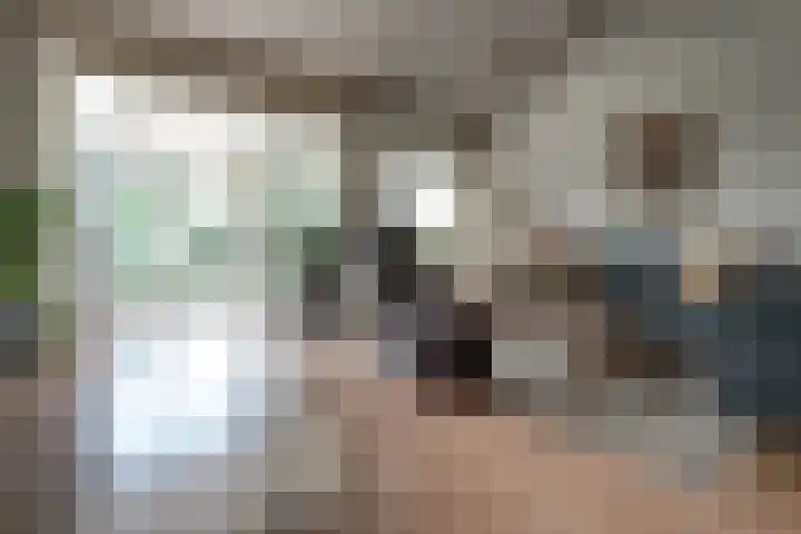 's-Gravenwaardsedijk 9 Tolkamer thumbnail 17
