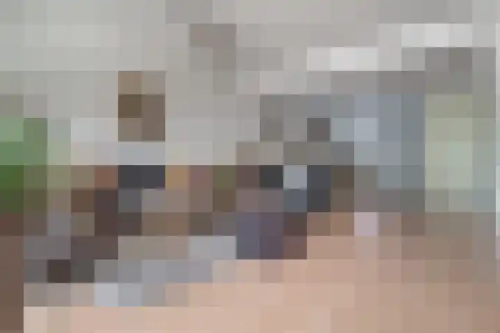 's-Gravenwaardsedijk 9 Tolkamer thumbnail 18