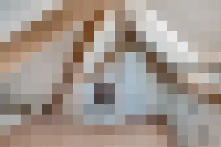 's-Gravenwaardsedijk 9 Tolkamer thumbnail 40