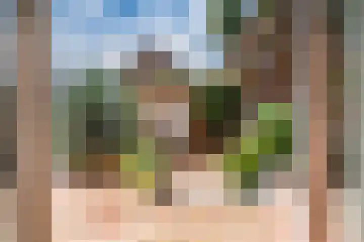 's-Gravenwaardsedijk 9 Tolkamer thumbnail 41