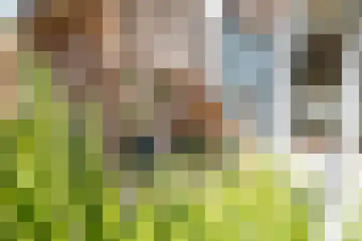 's-Gravenwaardsedijk 9 Tolkamer thumbnail 43