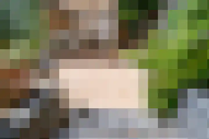 's-Gravenwaardsedijk 9 Tolkamer thumbnail 44