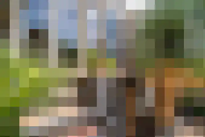 's-Gravenwaardsedijk 9 Tolkamer thumbnail 46