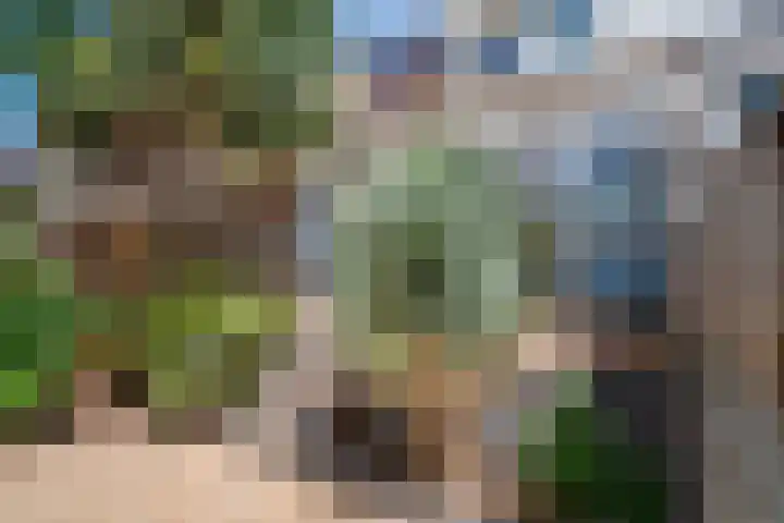 's-Gravenwaardsedijk 9 Tolkamer thumbnail 47