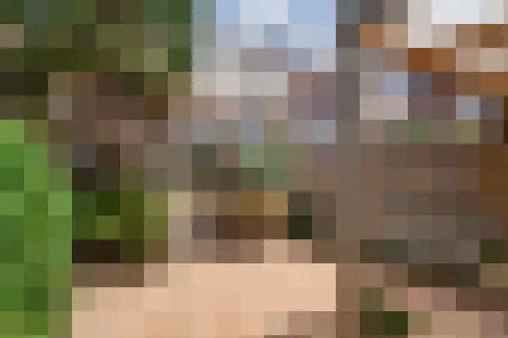 's-Gravenwaardsedijk 9 Tolkamer thumbnail 48