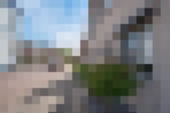 's-Gravenwaardsedijk 9 Tolkamer thumbnail 6