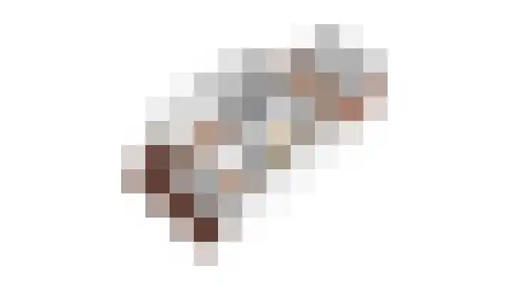 's-Gravenwaardsedijk 9 Tolkamer thumbnail 60
