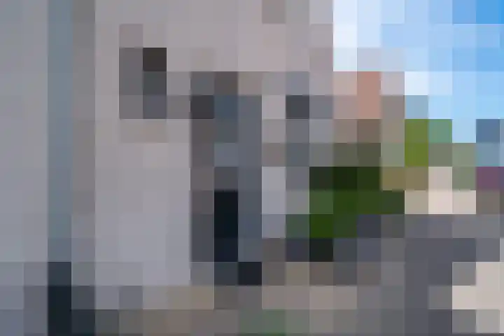 's-Gravenwaardsedijk 9 Tolkamer thumbnail 8