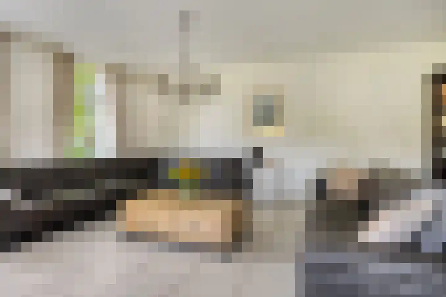 's-Gravenweg 130 Capelle aan den IJssel thumbnail 10