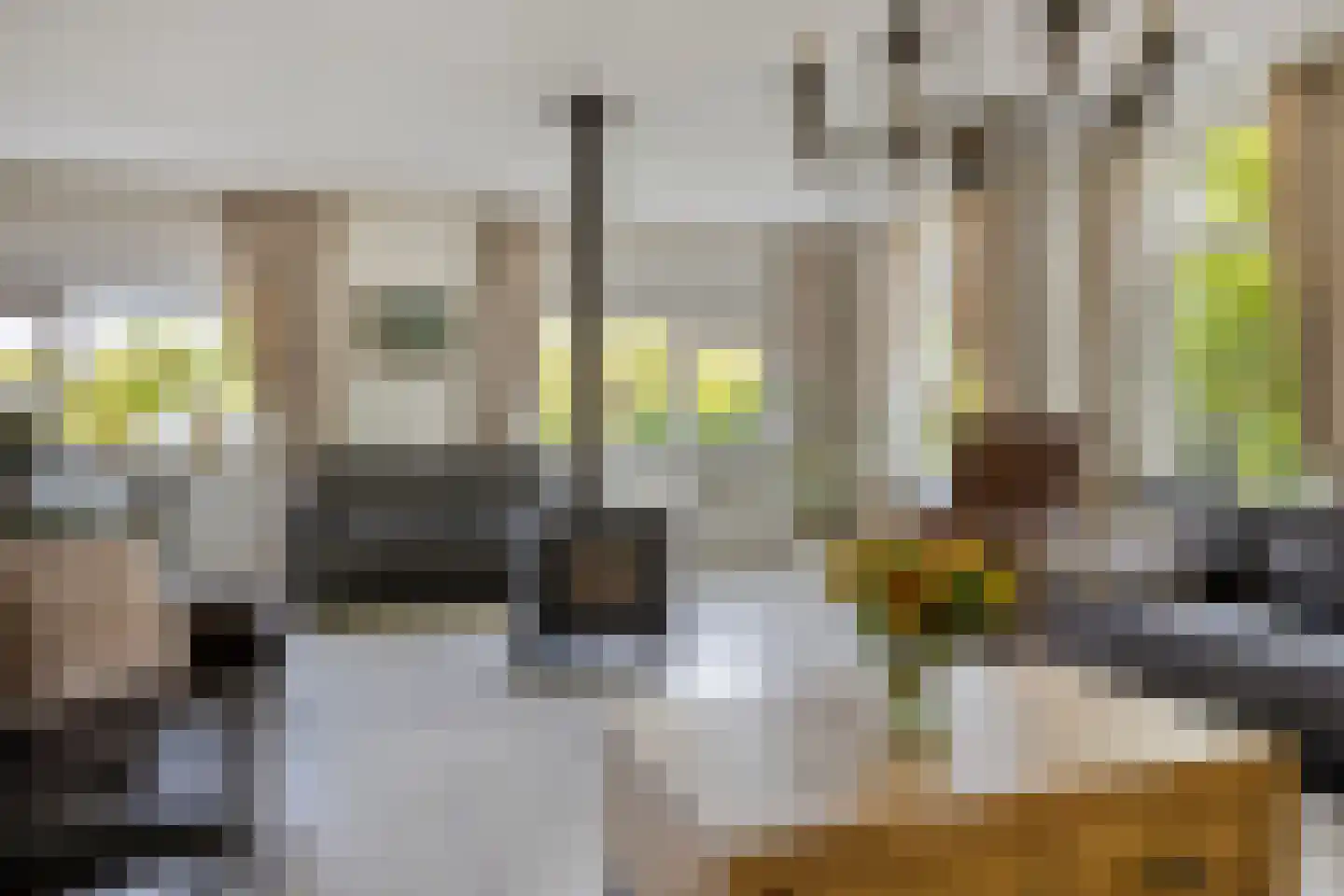 's-Gravenweg 130 Capelle aan den IJssel thumbnail 11
