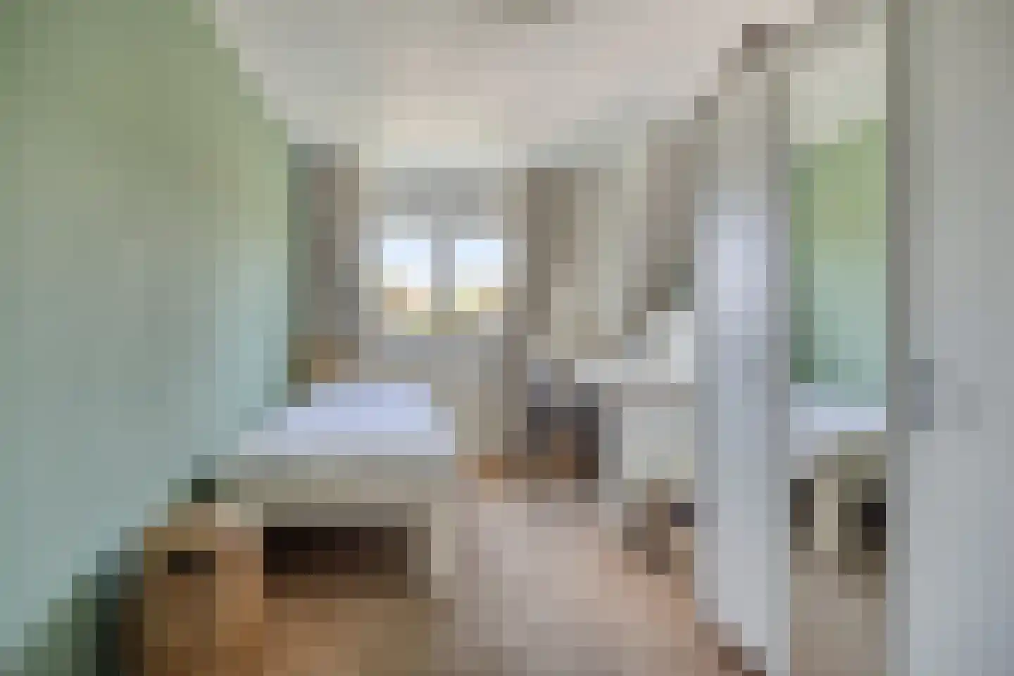 's-Gravenweg 130 Capelle aan den IJssel thumbnail 29