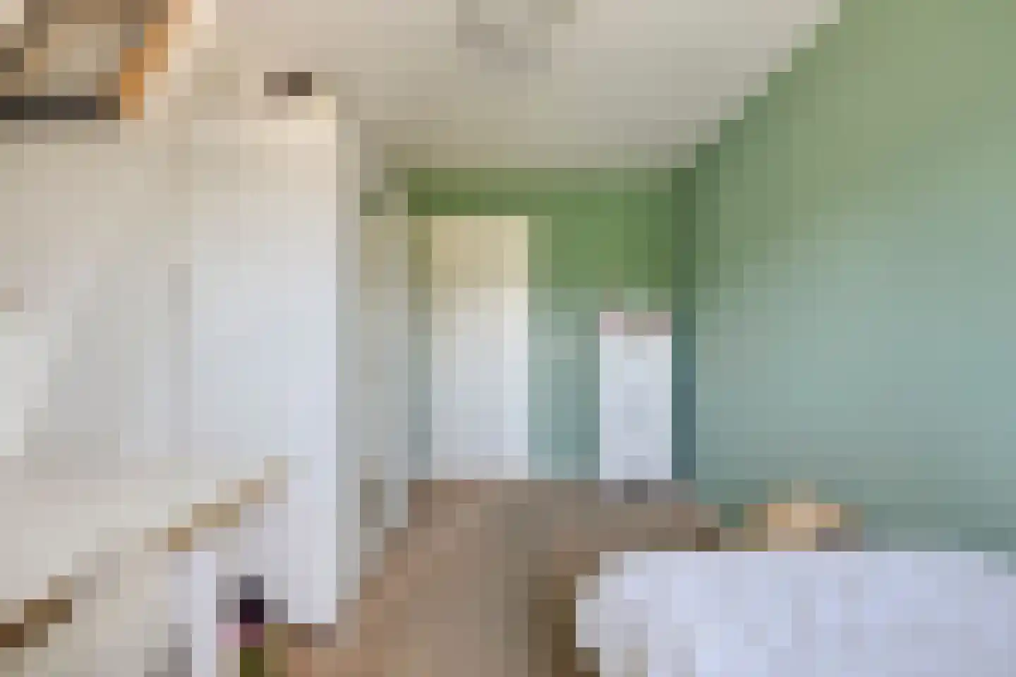 's-Gravenweg 130 Capelle aan den IJssel thumbnail 30
