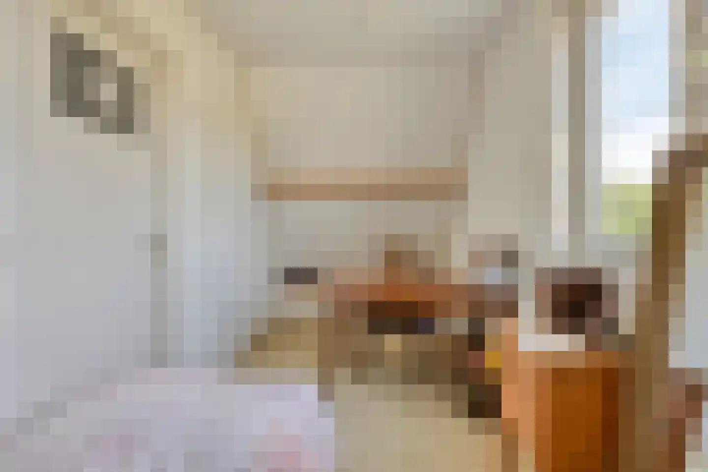 's-Gravenweg 130 Capelle aan den IJssel thumbnail 32