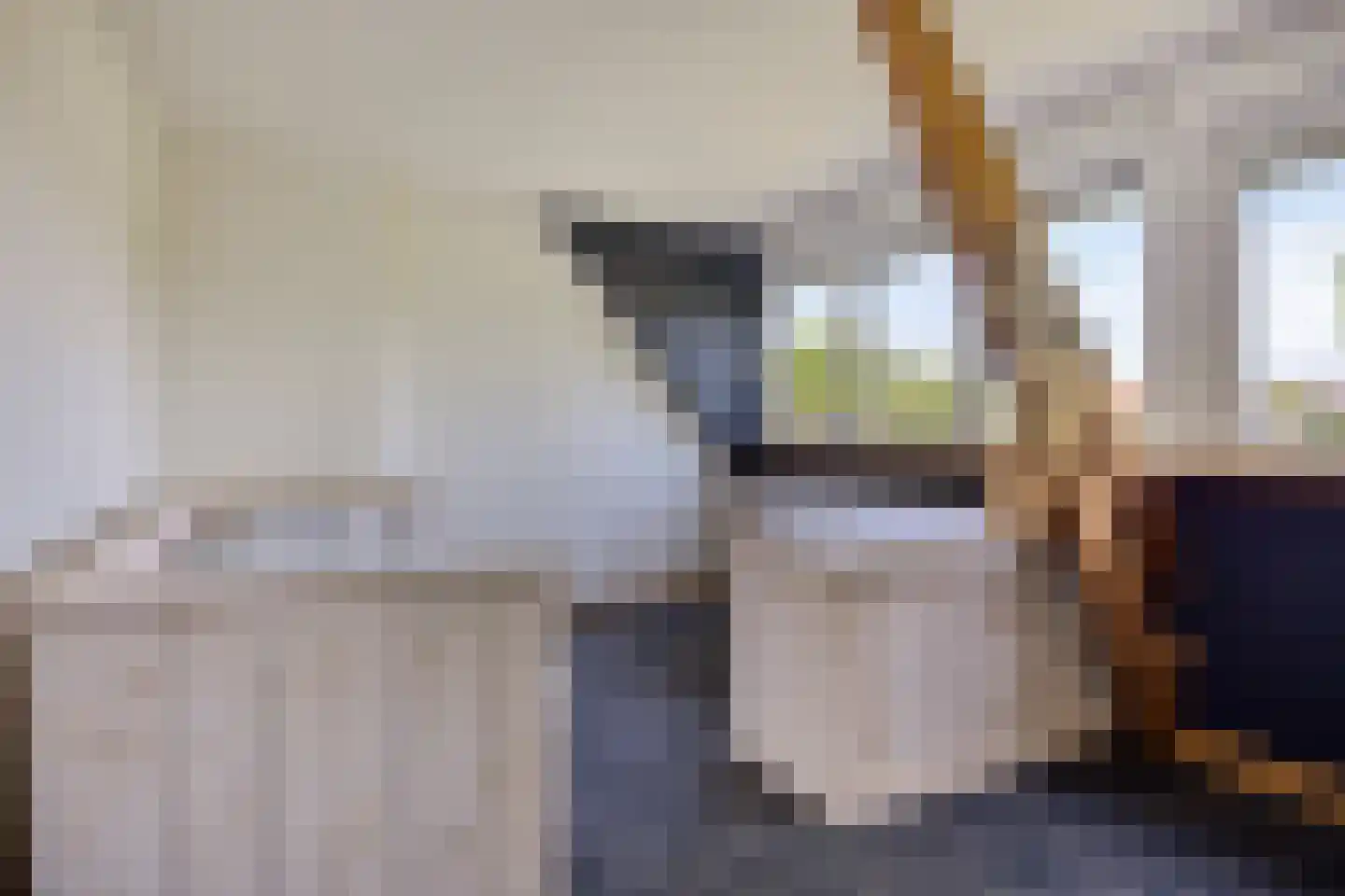's-Gravenweg 130 Capelle aan den IJssel thumbnail 33