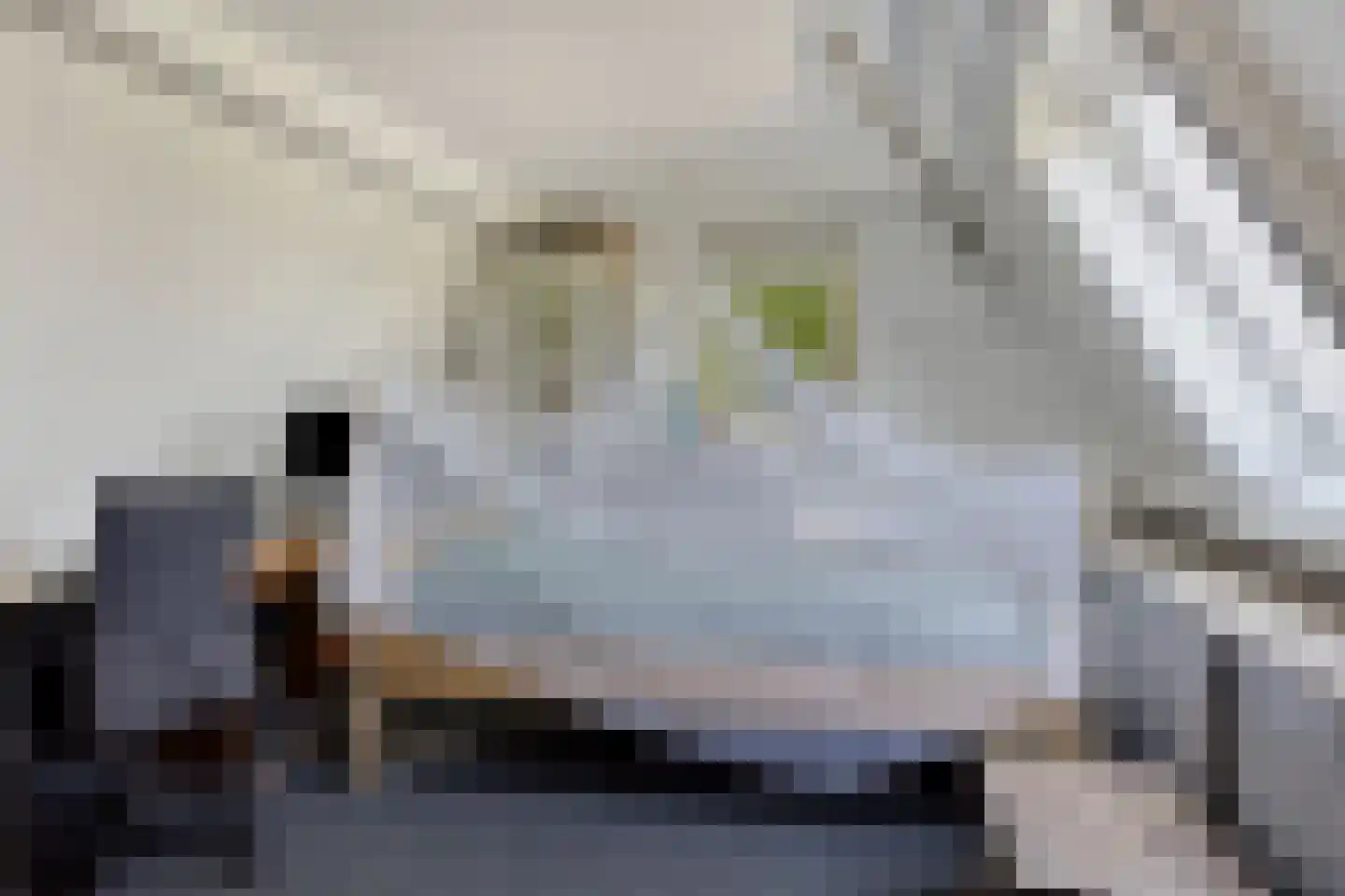 's-Gravenweg 130 Capelle aan den IJssel thumbnail 39