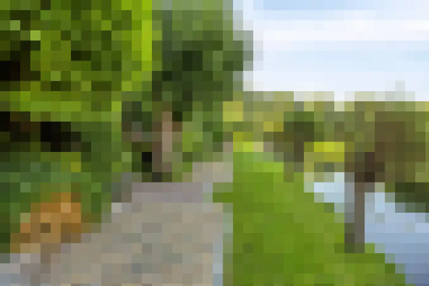 's-Gravenweg 130 Capelle aan den IJssel thumbnail 43