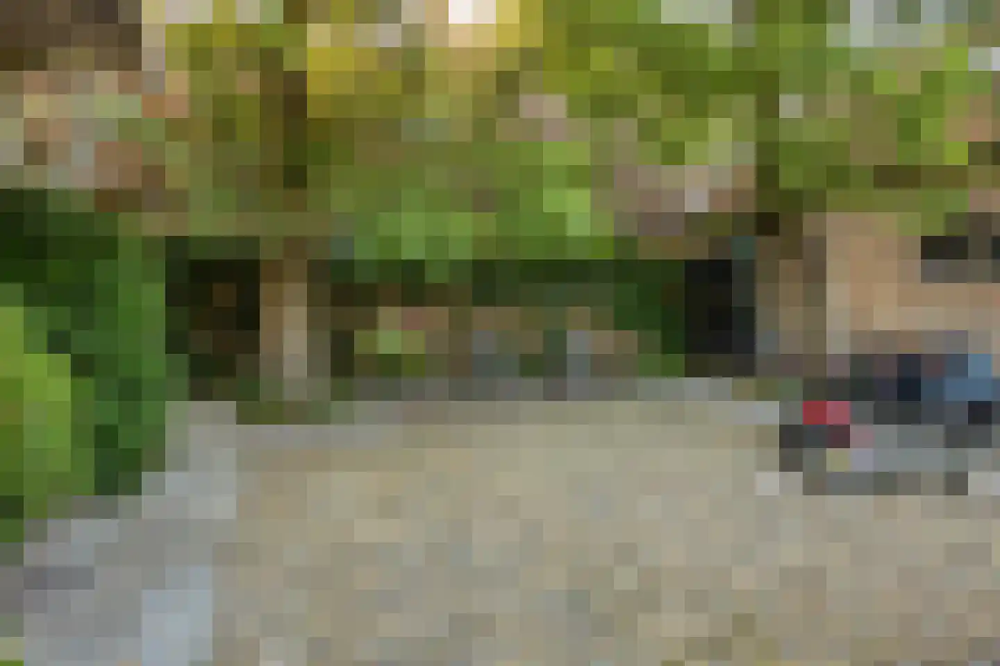 's-Gravenweg 130 Capelle aan den IJssel thumbnail 44