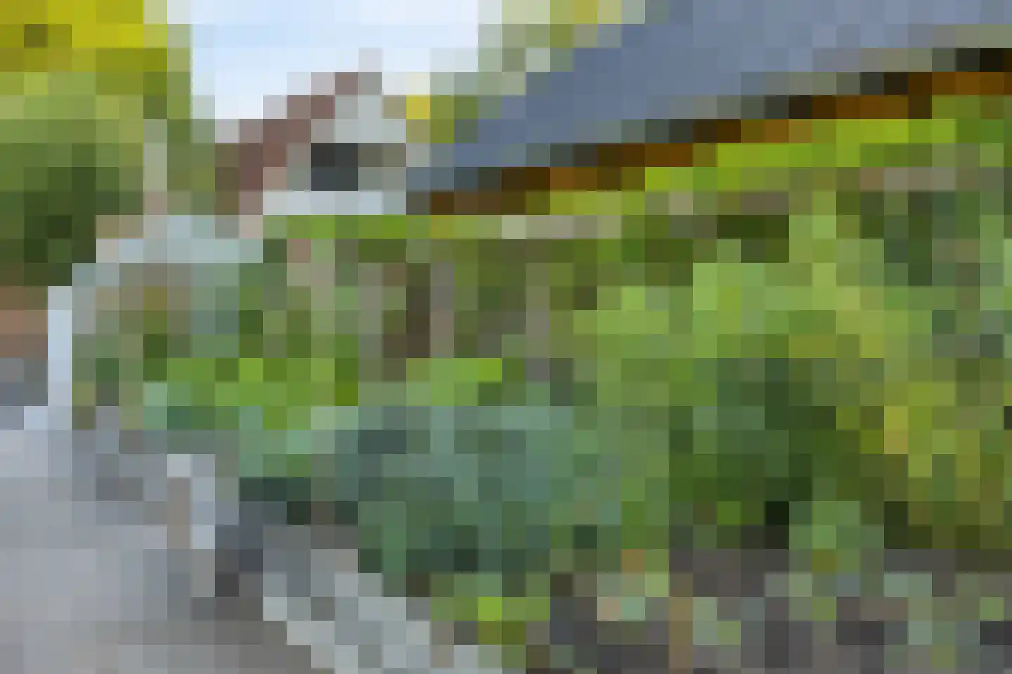 's-Gravenweg 130 Capelle aan den IJssel thumbnail 52