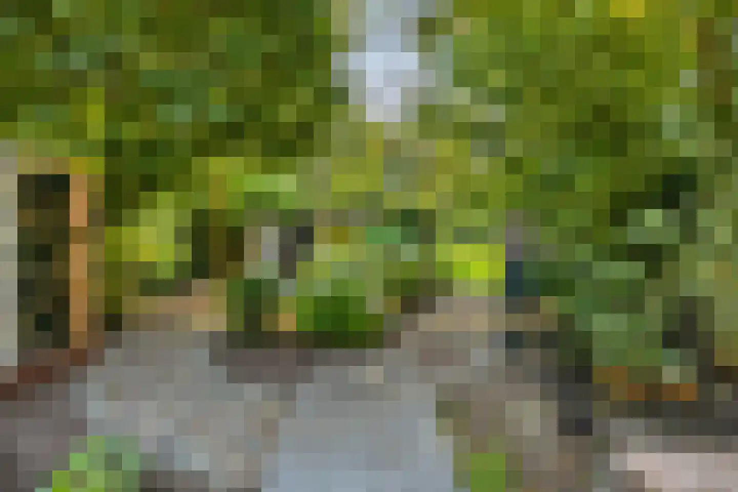 's-Gravenweg 130 Capelle aan den IJssel thumbnail 53
