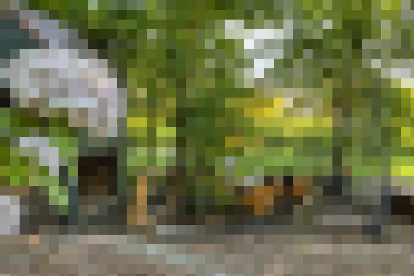 's-Gravenweg 130 Capelle aan den IJssel thumbnail 54