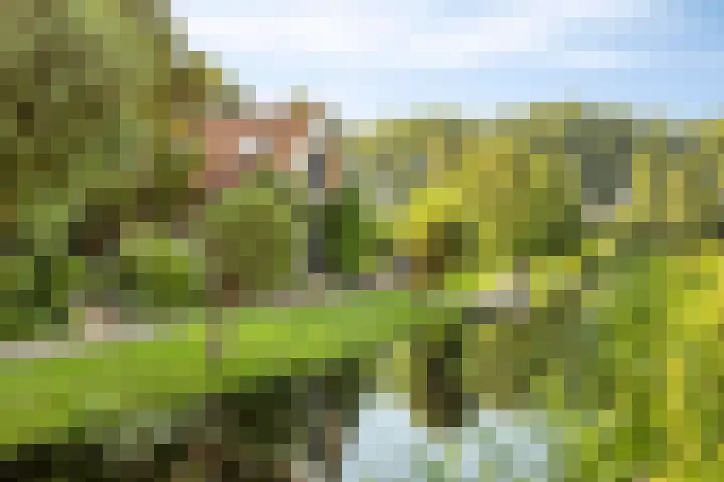 's-Gravenweg 130 Capelle aan den IJssel thumbnail 55
