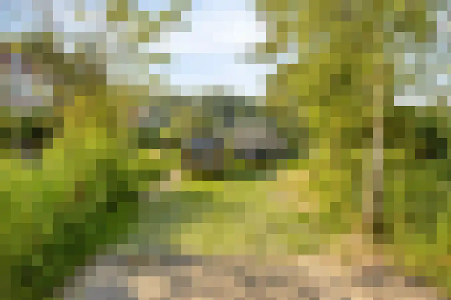 's-Gravenweg 130 Capelle aan den IJssel thumbnail 57