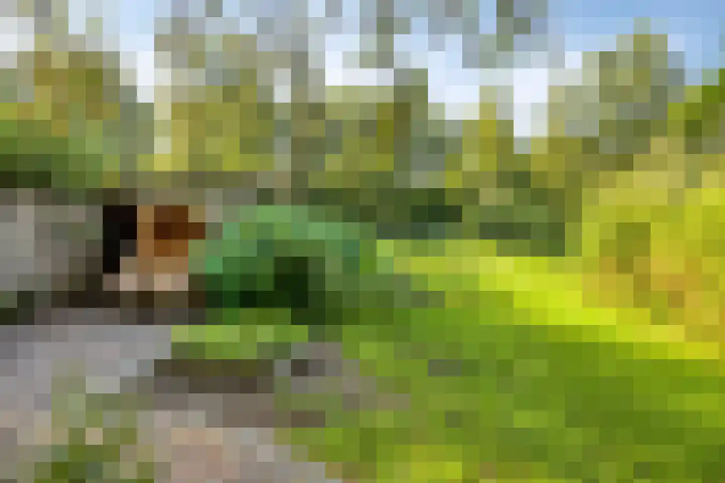 's-Gravenweg 130 Capelle aan den IJssel thumbnail 58