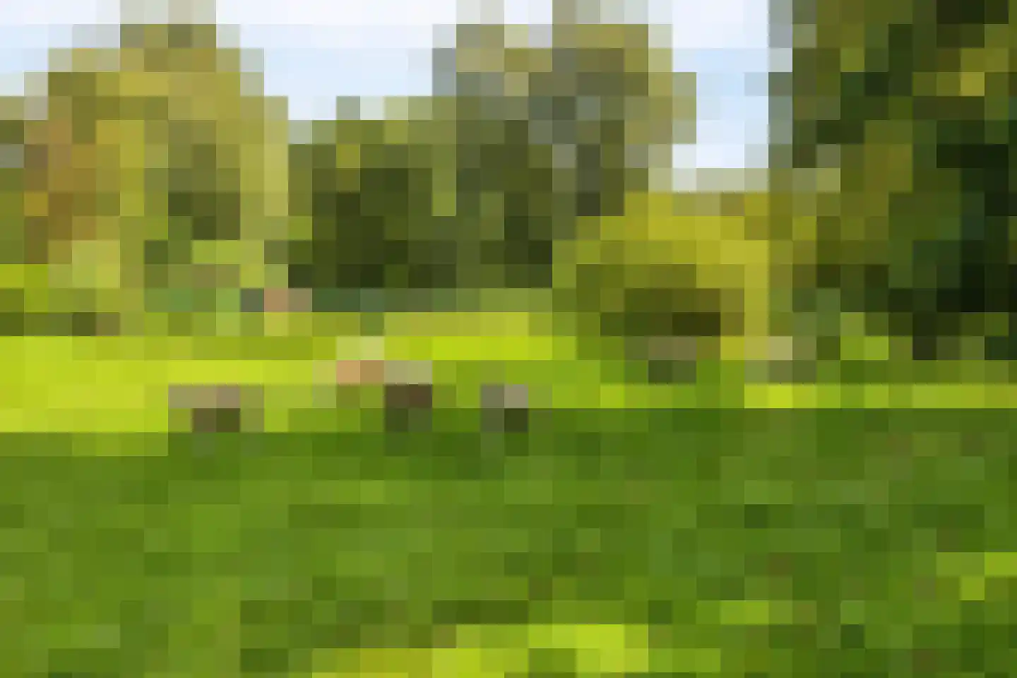 's-Gravenweg 130 Capelle aan den IJssel thumbnail 62