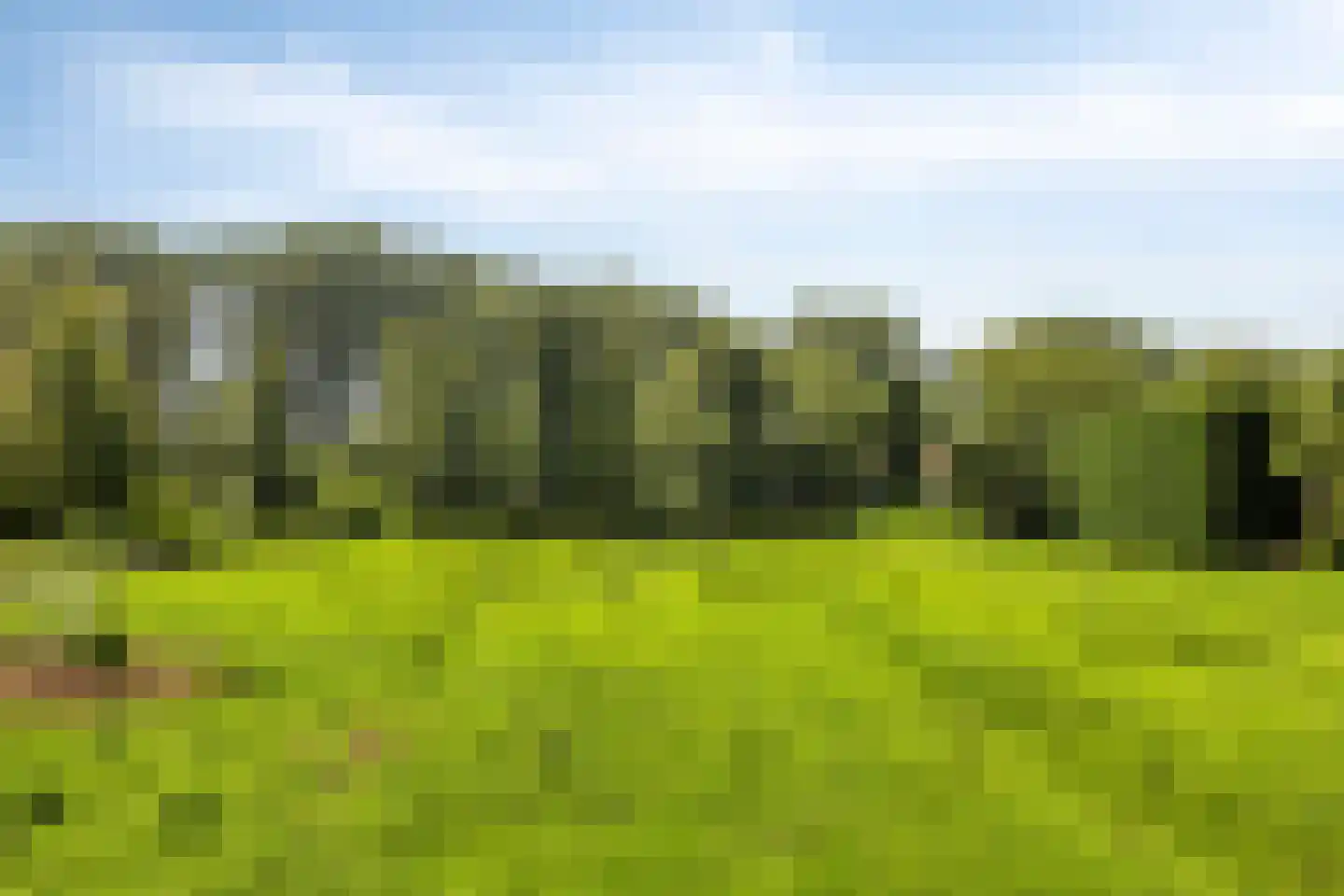 's-Gravenweg 130 Capelle aan den IJssel thumbnail 63
