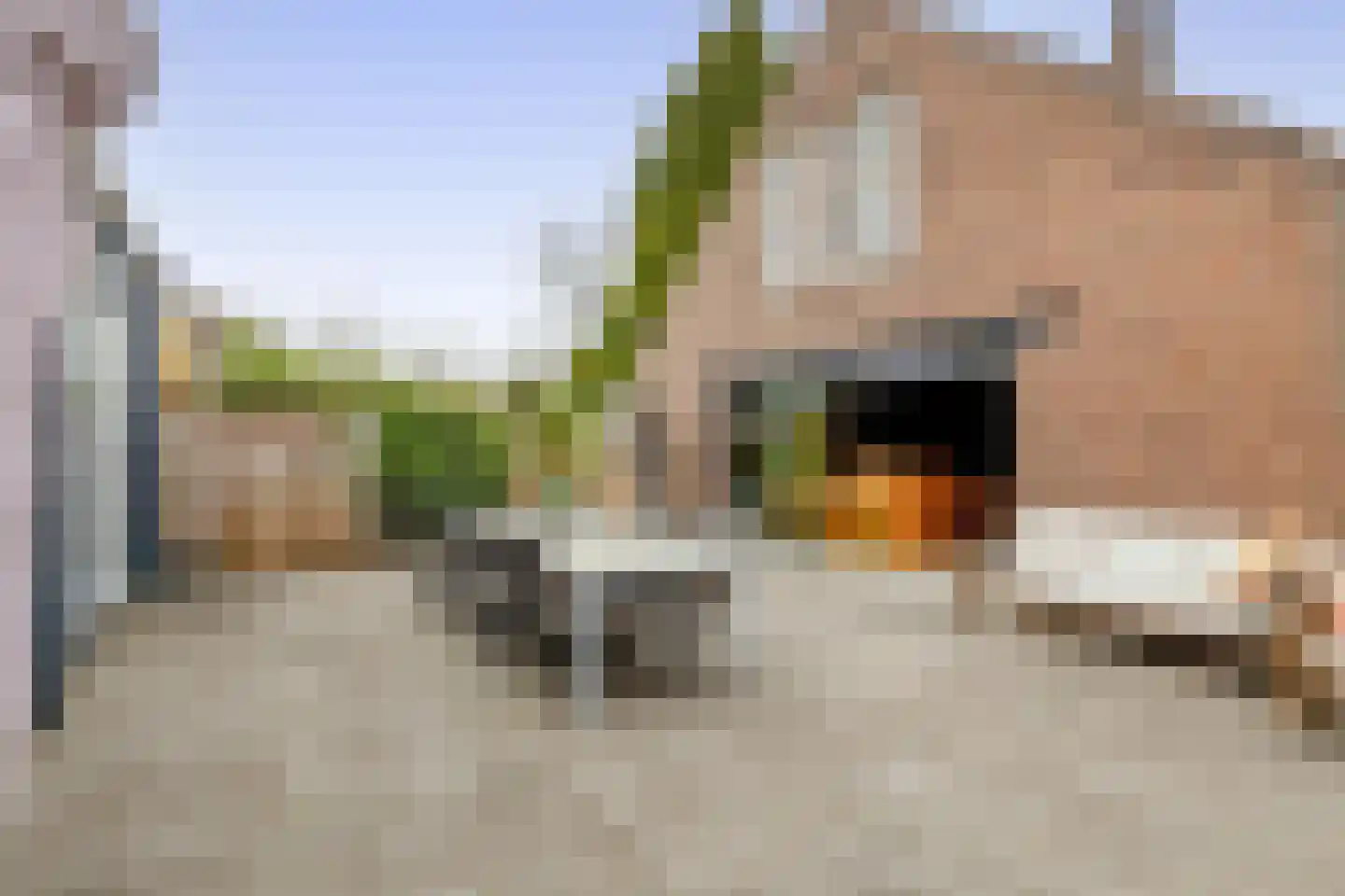 's-Gravenweg 135 Capelle aan den IJssel thumbnail 37