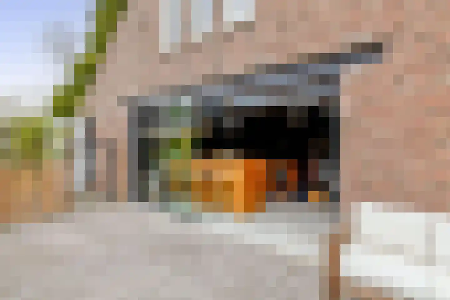 's-Gravenweg 135 Capelle aan den IJssel thumbnail 38