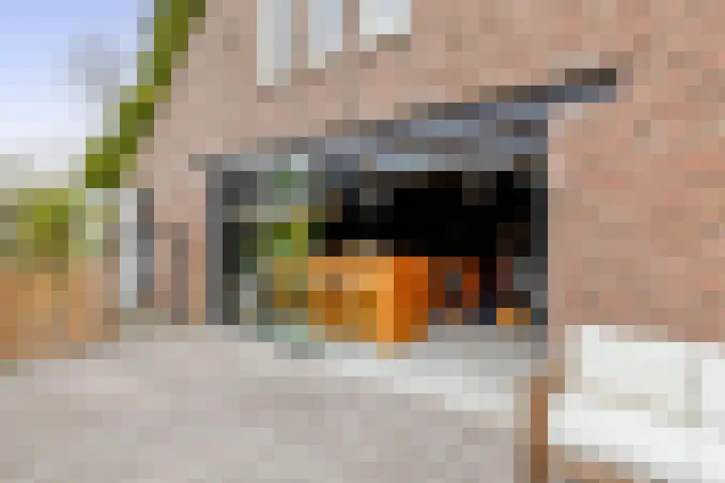 's-Gravenweg 135 Capelle aan den IJssel thumbnail 4