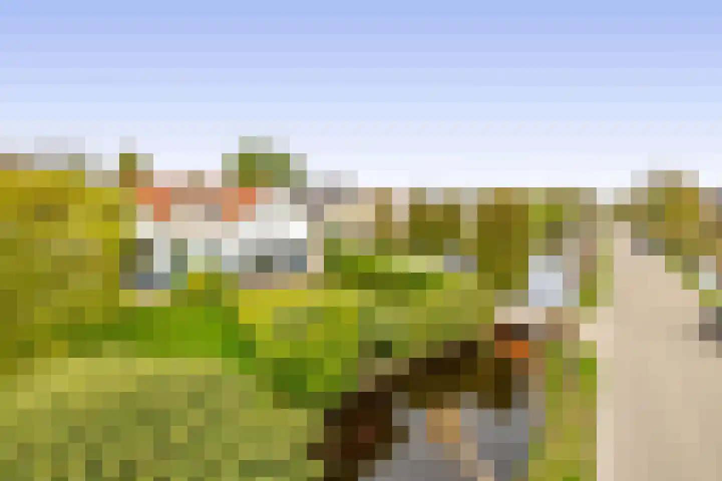 's-Gravenweg 135 Capelle aan den IJssel thumbnail 65