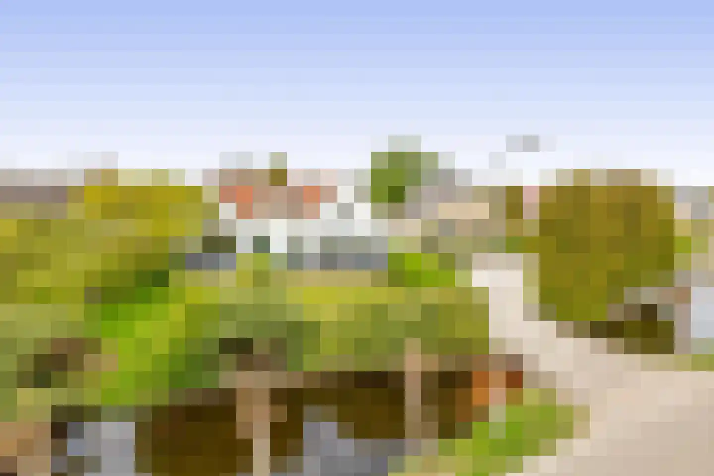 's-Gravenweg 135 Capelle aan den IJssel thumbnail 68