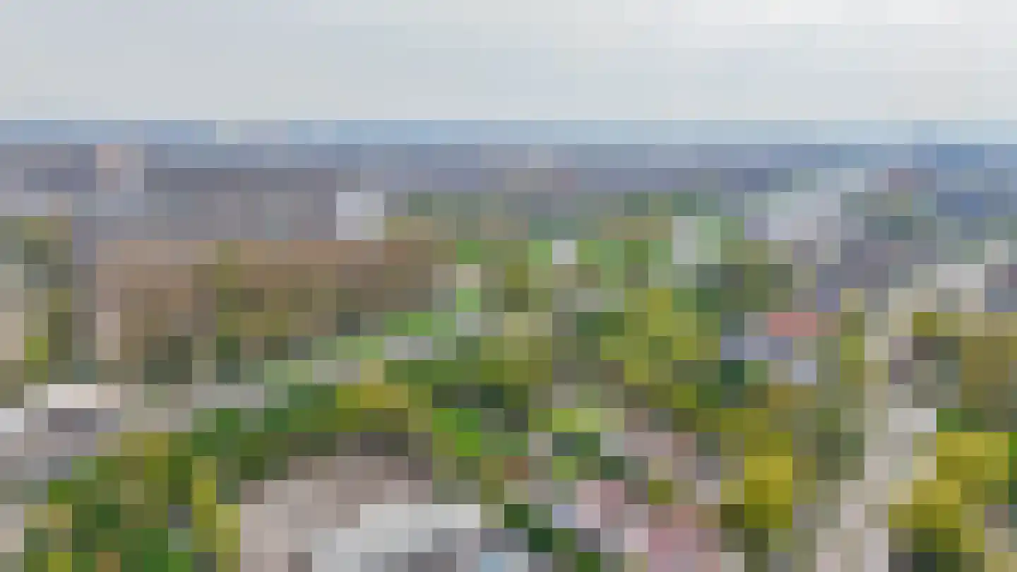 's-Gravenweg 135 Capelle aan den IJssel thumbnail 75