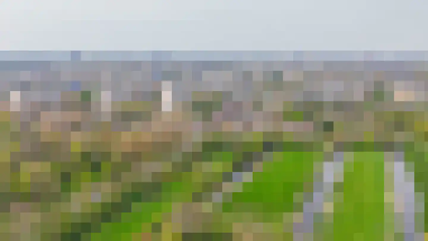 's-Gravenweg 135 Capelle aan den IJssel thumbnail 76
