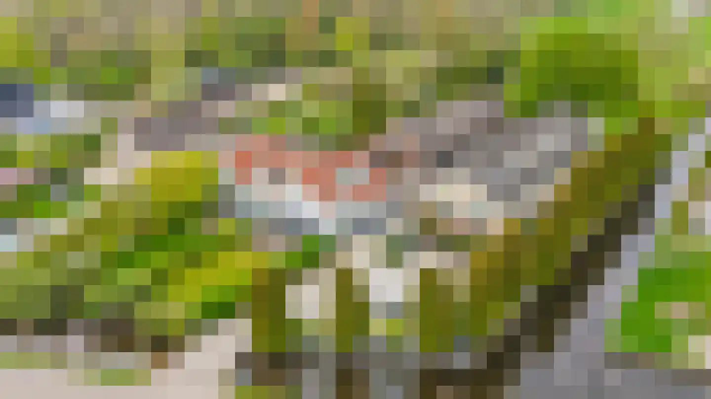 's-Gravenweg 135 Capelle aan den IJssel thumbnail 77