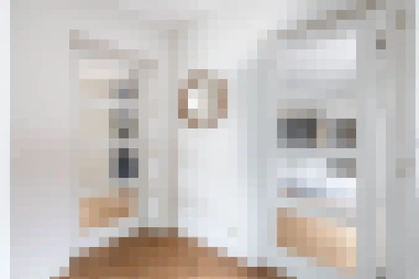 's-Gravenweg 135 Capelle aan den IJssel thumbnail 8