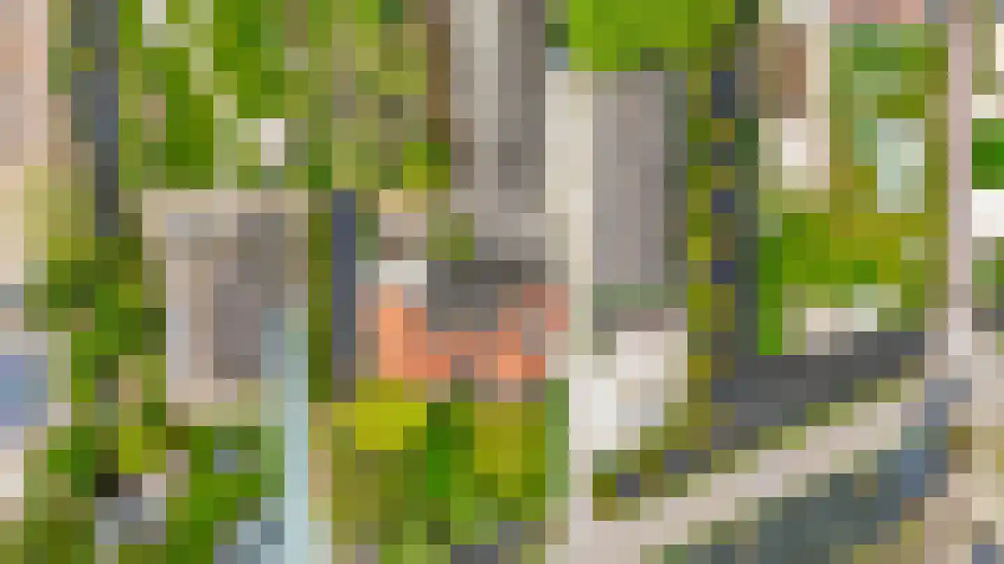 's-Gravenweg 135 Capelle aan den IJssel thumbnail 80