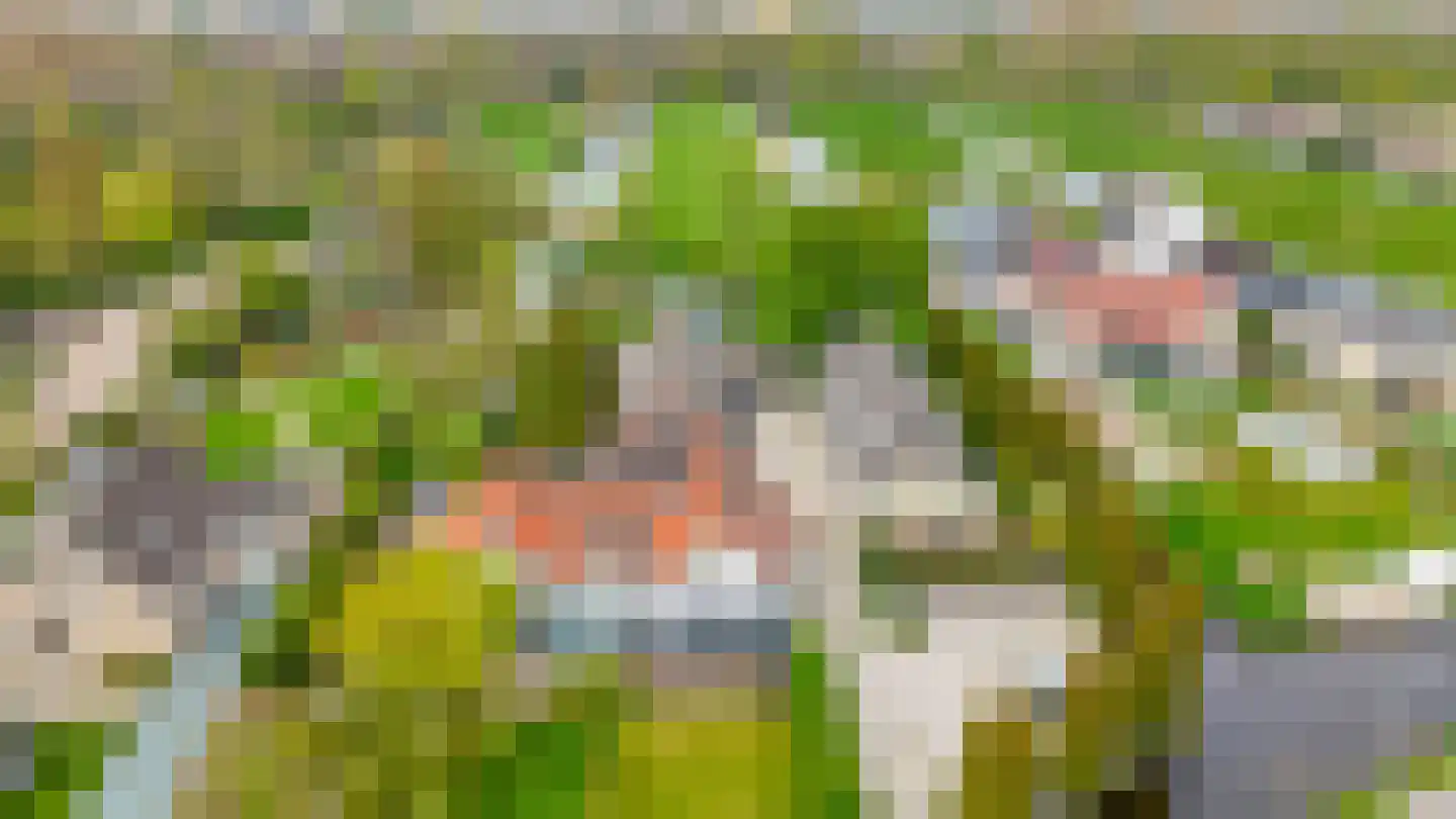 's-Gravenweg 135 Capelle aan den IJssel thumbnail 82