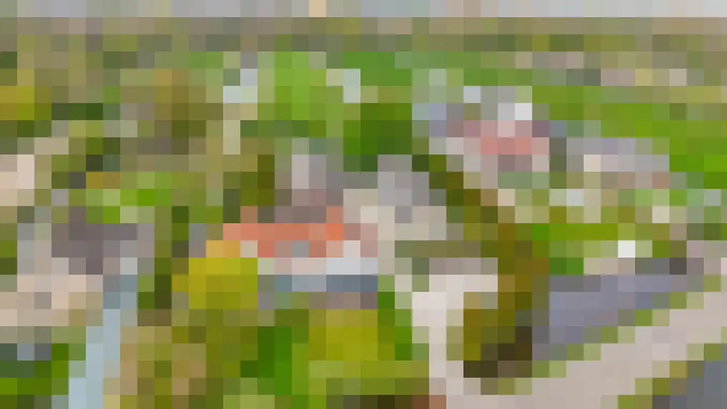 's-Gravenweg 135 Capelle aan den IJssel thumbnail 83