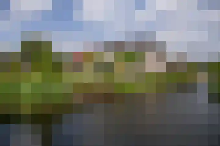 's-Gravenweg 145 Capelle aan den IJssel thumbnail 10