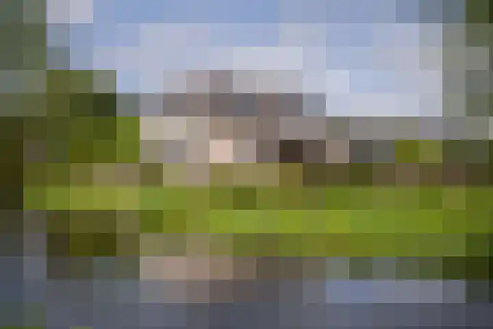 's-Gravenweg 145 Capelle aan den IJssel thumbnail 12