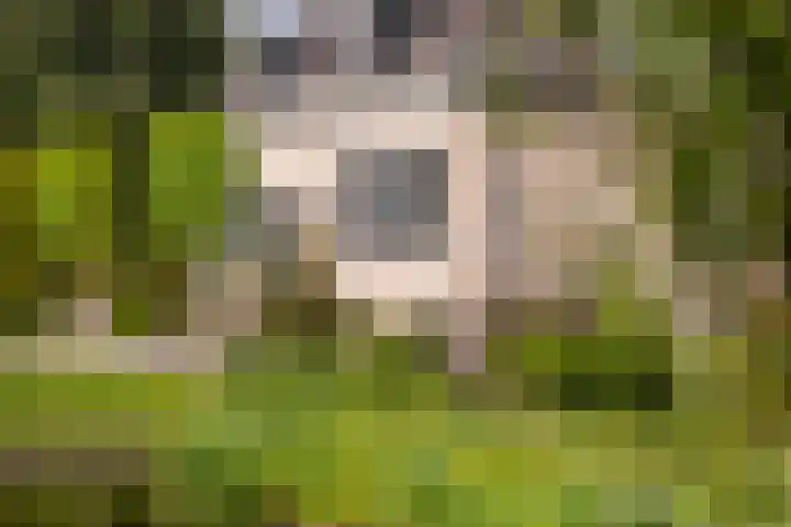 's-Gravenweg 145 Capelle aan den IJssel thumbnail 13