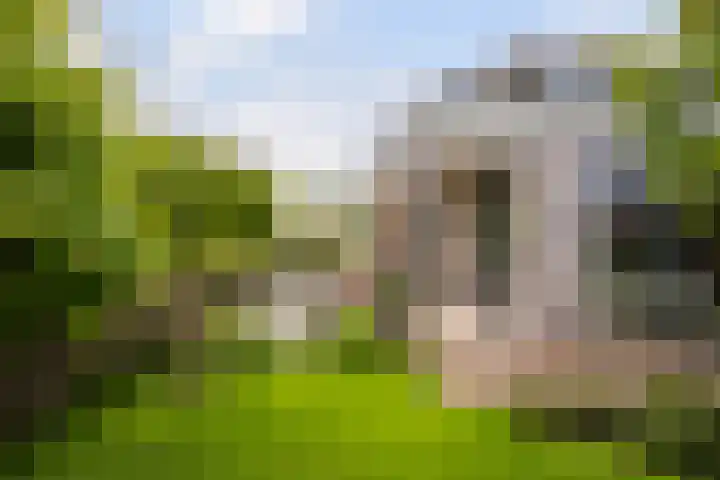 's-Gravenweg 145 Capelle aan den IJssel thumbnail 38