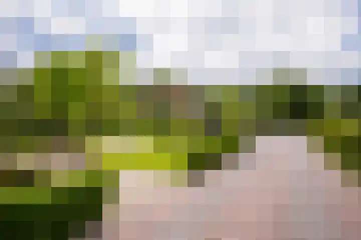 's-Gravenweg 145 Capelle aan den IJssel thumbnail 42